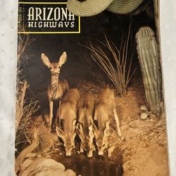 Vintage Arizona Highways 1954 Magazine