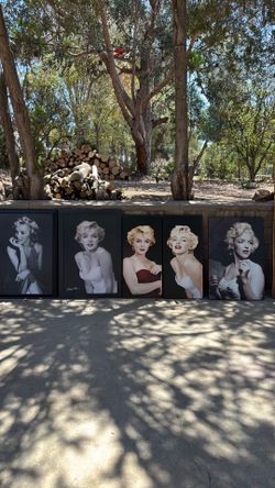 Marilyn Monroe pictures $10 each