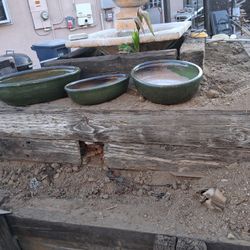 Green Vases 