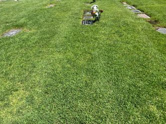 Cemetary plots