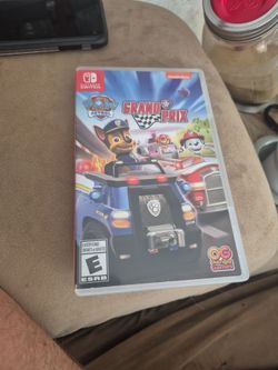 PAW Patrol Grand Prix Nintendo Switch Game
