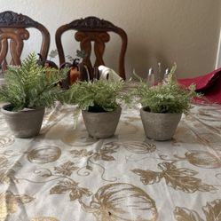 Decorative Artificial Plant