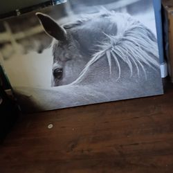 Horse Painting On Canvas 3x2