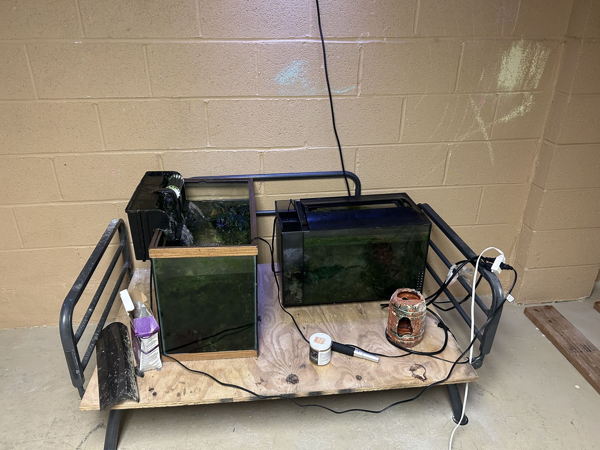 20 Gallon Aquarium