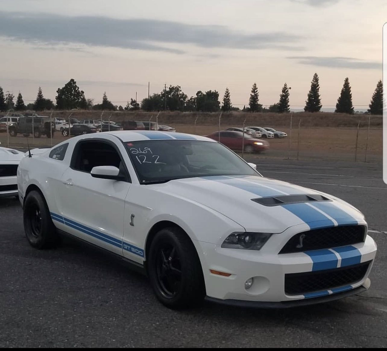 2010 Ford Shelby Gt500