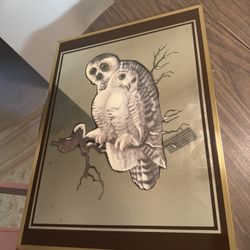 Two Owls on a Branch