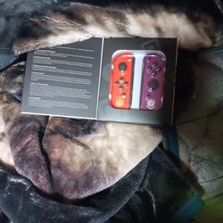 Nintendo Switch Joy Pads