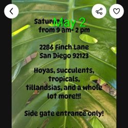 MAY 2 PLANT SALE