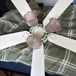 Ceiling Fan 42-44” With Lights