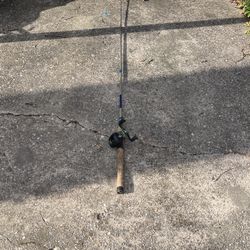 Fishing Rod, And Reel