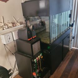 120 Gallon Reef Aquarium Setup