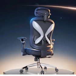 Ergonomic Mesh Office Chair with Headrest