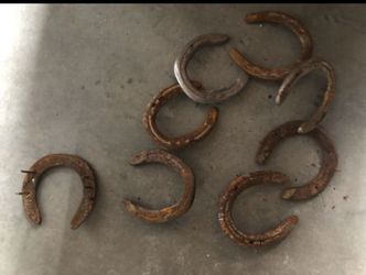 Horseshoes