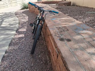 Custom bike
