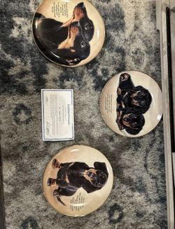 Dachshund Collector Plates Lot Of 11 Danbury Mint Limited Ed Dachshunds Vintage