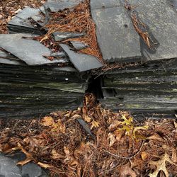 Slate Tile 