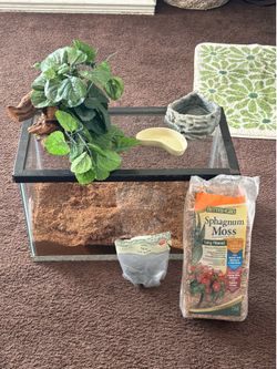 10 gallon reptile tank set