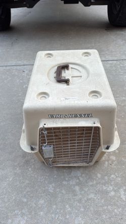 Kennel