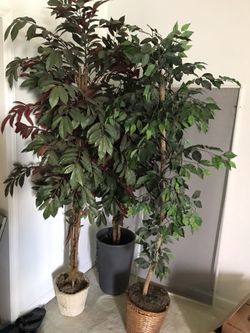 House plants artificial but nice