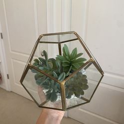 Artificial plant in glass box