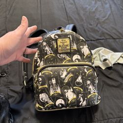 Disneyland Lounge Fly Bag