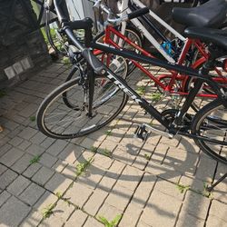 Trek Fx2