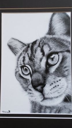 Pencil Drawing of a cat, mated prints, Great Gifts