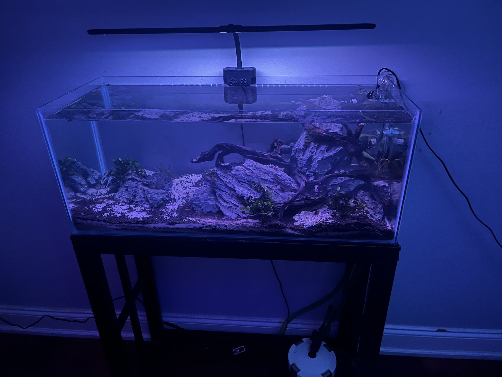 20 Gallon Long Fish Tank