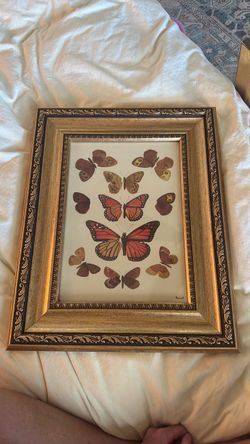 Framed Butterfly Art Print