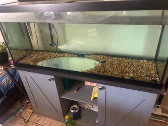 Fish tank