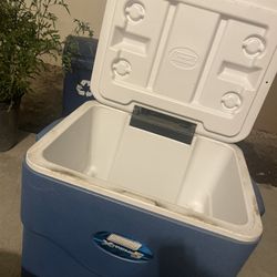 Coleman Extreme 5 Cooler 