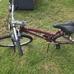 Bicycle
