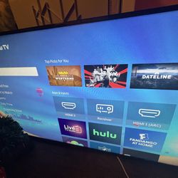 55 Inch Roku Tv