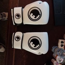 Daniel Gracie Boxing Gloves 16 Oz Gloves