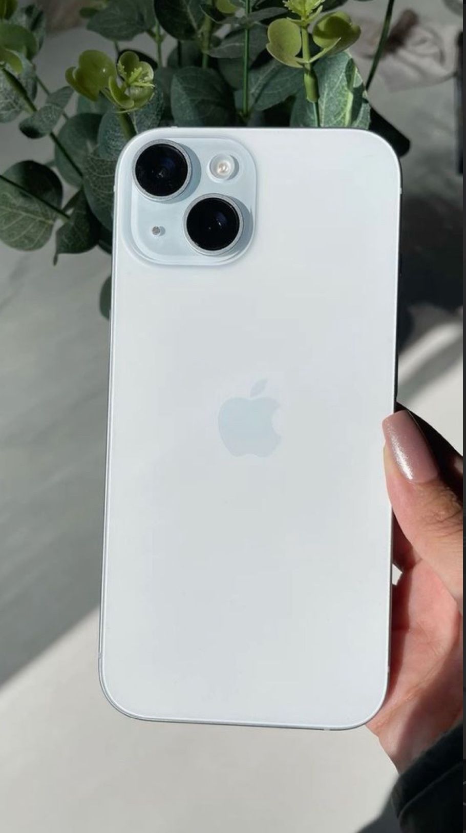 iPhone 14