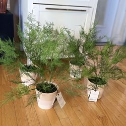 18.5" x 22" Faux Fern Potted Plant - Hearth & Hand™ with Magnolia