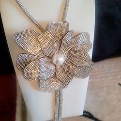 New Necklace Long