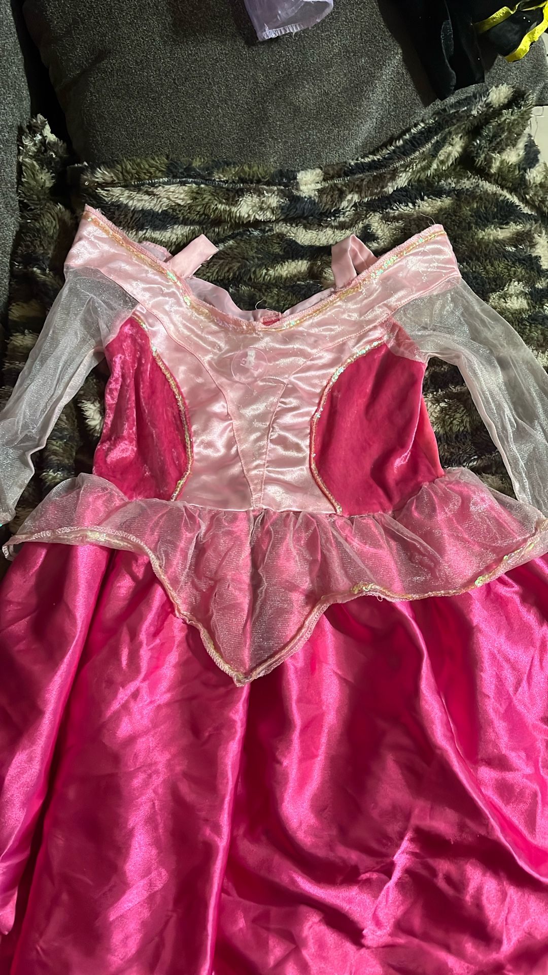 Sleeping Beauty Costume 