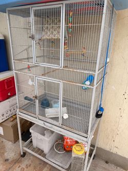 Bird cage