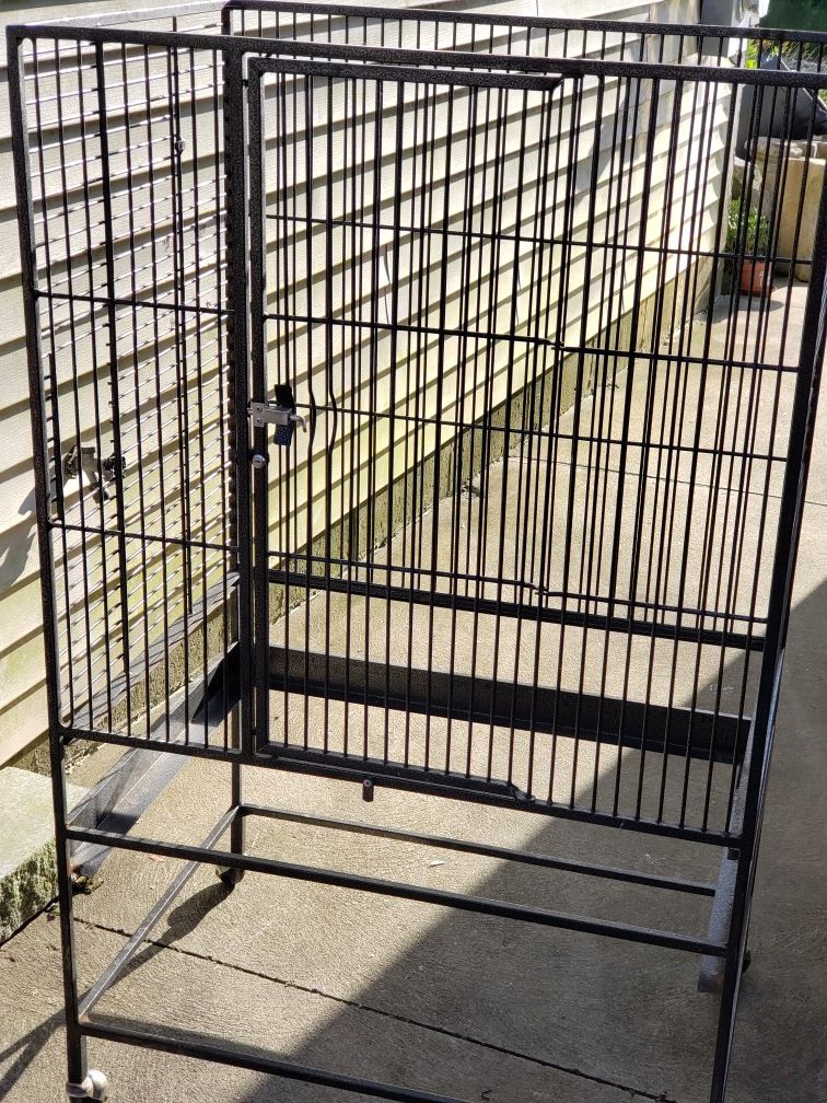 Bird cage and sun conures 4ftlongx24widex 52high