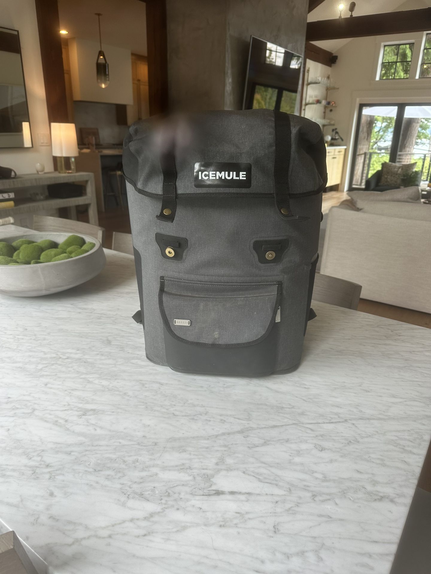 Icemule Urbano 30L Cooler/backpack