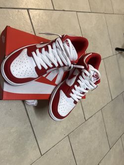 Nike Dunk Low Sp