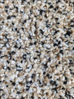 Remnants Carpet and Padding
