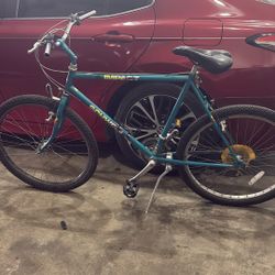 Montañesa Bike 