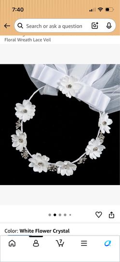Holy Communion Veil