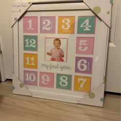 Baby’s First Year Frame