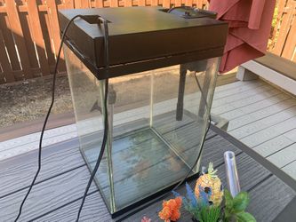 10 Gallon Fish tank