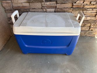 Igloo Hard Cooler Blue and White