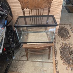 Fish Tank Or Terrarium
