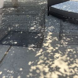 Dog Kennels 